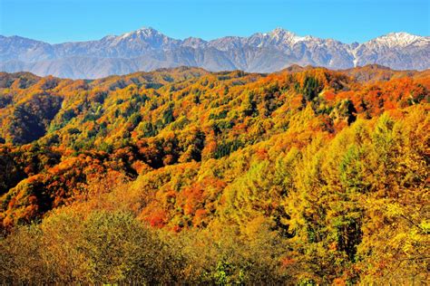 信州 日本で最も美しい村「小川村」の四季 〜里山と北アルプスの絶景 ピクスポット 絶景・風景写真・撮影スポット・撮影ガイド