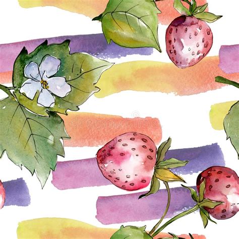 Alimento Saud Vel Da Morango O Aquarelle De Tiragem Da Forma Do