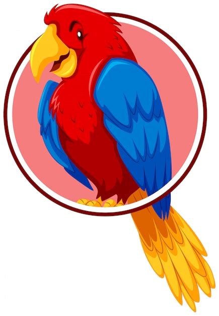 Premium Vector A Parrot In Circle Template