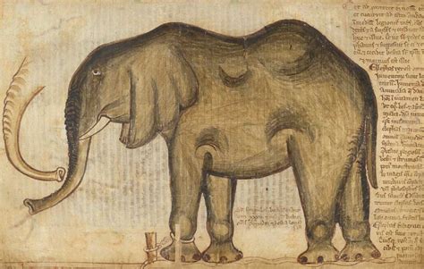 How did the Elephant get its Trunk? | History Today