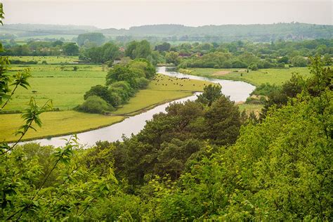 Best Viewpoints In New Forest National Park Atlas And Boots