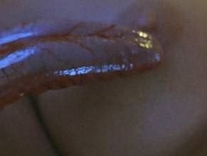 PLANKTON NUDE SCENES AZNude