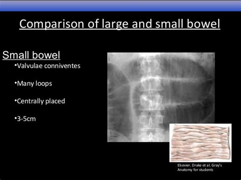 Abdominal Imaging Lecture