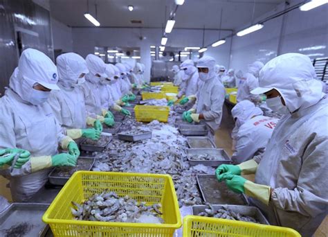 Fisheries Industry Sets Export Target Of 10 Billion