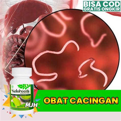 Jual Keloreena Obat Cacingan Untuk Anak Dan Dewasa Obat Cacing Pita