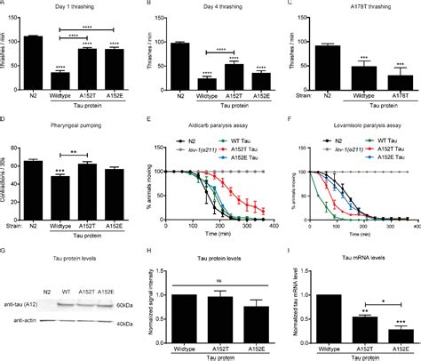 Figure 2 From Tau MAPT Disease Associated Variant A152T Alters Tau