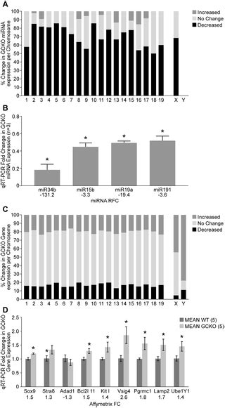 Deregulated Sex Chromosome Gene Expression With Male Germ Cell Specific