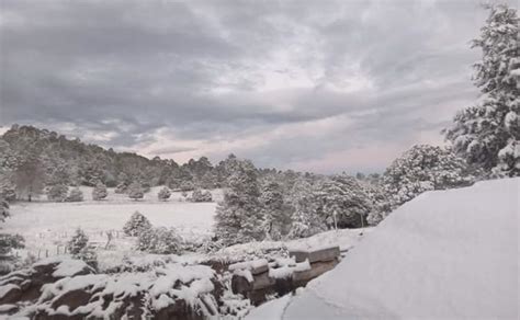 Qué postales Nevadas en Chihuahua por primera tormenta invernal