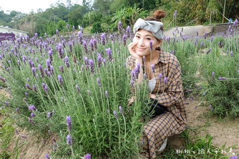 苗栗景點》葛瑞絲香草田│薰衣草花海 免費參觀中！ 桃桃s旅人手札