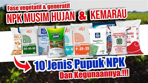 Jenis Pupuk Npk Dan Kegunaannya Npk Musim Hujan Kemarau Youtube