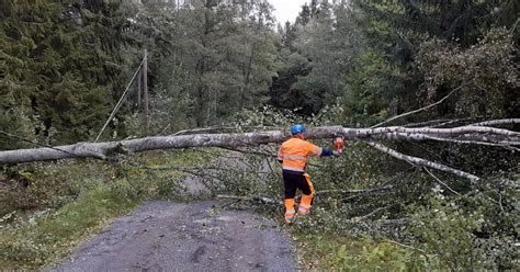 Voimakas tuuli on aiheuttanut useita sähkökatkoja Paneliankosken Voima