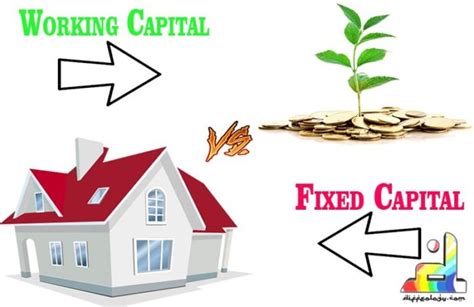 Difference Between Fixed Capital And Working Capital Diffeology