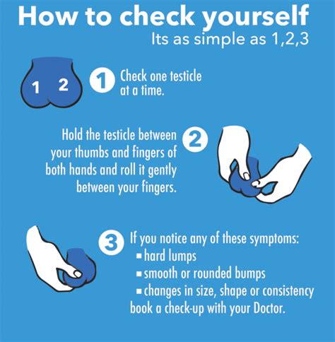 What Does A Testicular Cancer Lump Feel Like Yahoo / Testicular Cancer ...