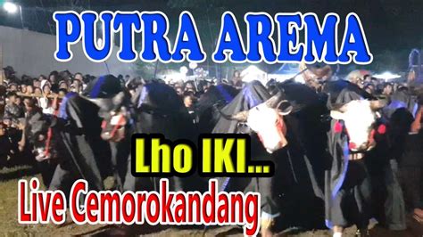 Bantengan Putra Arema Mberott Liar Feat Matador Mletre Banteng