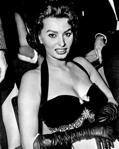 Portrait Of Sophia Loren Photograph By Globe Photos Fine Art America