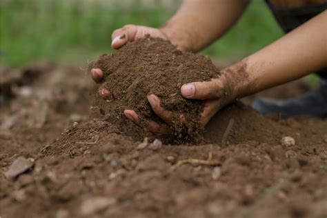 What Are The Crops Suitable For Each Soil Type Agriculture Monthly