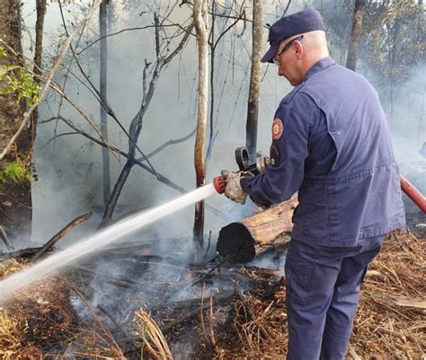 Bombeiros evitam que fogo se alastre para pátio de empresa em Estrela