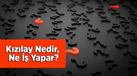 K Z Lay Nedir Ne Yapar K Saca K Z Lay N Faaliyetleri Ve G Revleri