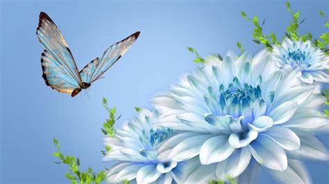 Blue Butterfly Wallpaper ·① WallpaperTag