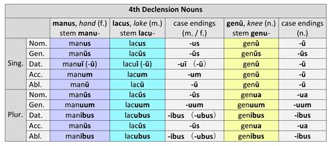 4th Declension: Stem, Paradigm, and Gender | Dickinson College Commentaries