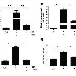 Panx And Inflammatory Cytokine Expression In Lps Treated