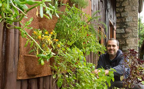 F Bio Asdente Im Veis Aprenda A Cultivar Ervas E Temperos Nas Paredes