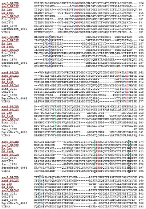 Clustal O Multiple Sequence Alignment Of Ls Enzymes With