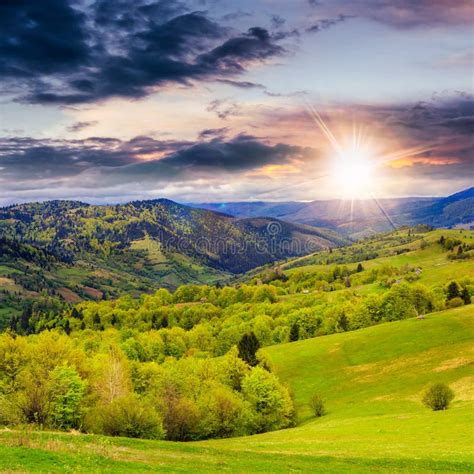 Forest On Hillside Meadow In Mountain At Sunset Stock Photo Image Of