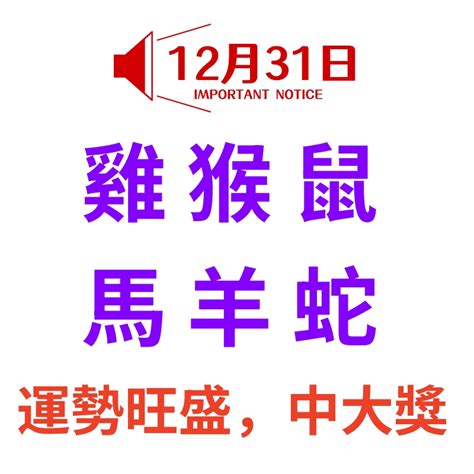 12月31日生肖運勢雞、猴、鼠大吉，運勢旺盛，中大獎 趣聞圖說