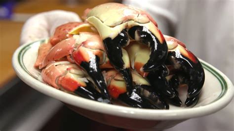 How To Crack A Stone Crab From Joe S Seafood Youtube