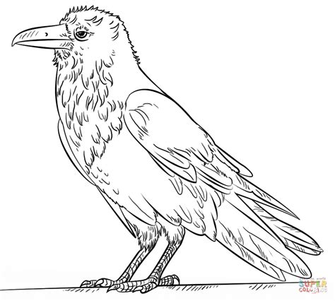 Coloriage Grand Corbeau Coloriages à imprimer gratuits