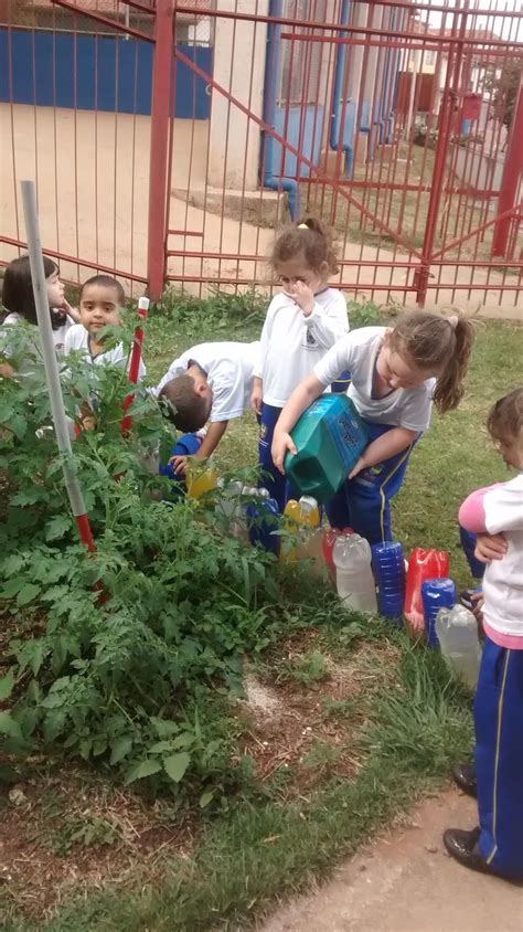 Escola Adalmir lugar de criança feliz Projeto horta Após dois meses