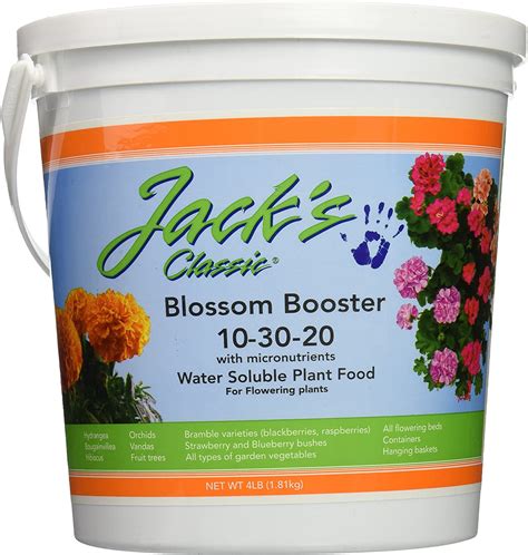 10 Best Rose Fertilizers In 2023 Reviews And Top Picks