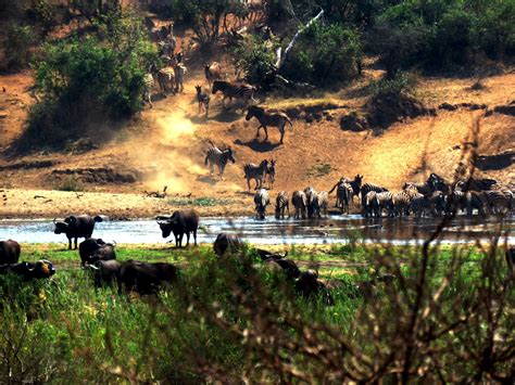 Exquisite Scenery From The Marloth Park Side Of The Crocodile River