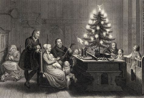 Ancient Origins Of The Christmas Tree A Guide For Kids