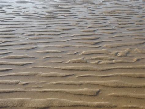 Quoi Correspondent Les Ridules Du Sable Sous L Eau