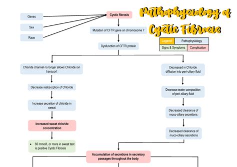 Cystic Fibrosis Pathophysiology Genes Cystic Fibrosis Sex Race Mutation Of Cftr Gene On