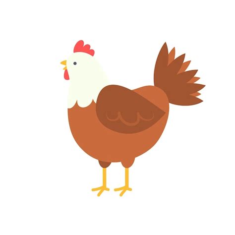 Frango Isolado De Projeto Plano Psd Grátis