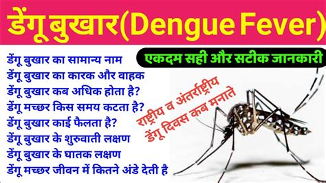 डग बखर dengue fever lecture in hindi Dengue bukhar ke lakshan