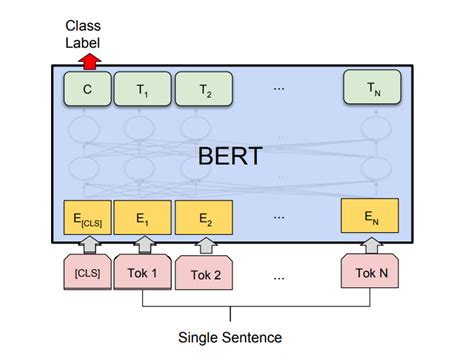 Sentiment Classification Using Bert Geeksforgeeks