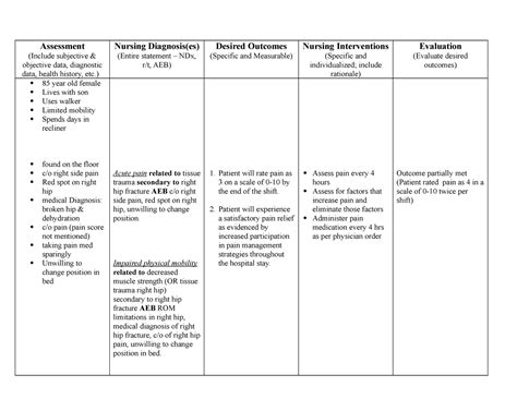 Acute Pain Care Plan