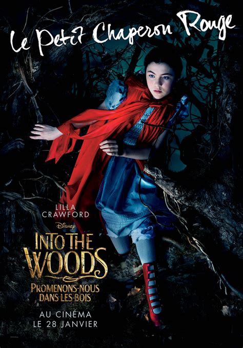 Affiche Du Film Into The Woods Promenons Nous Dans Les Bois Affiche