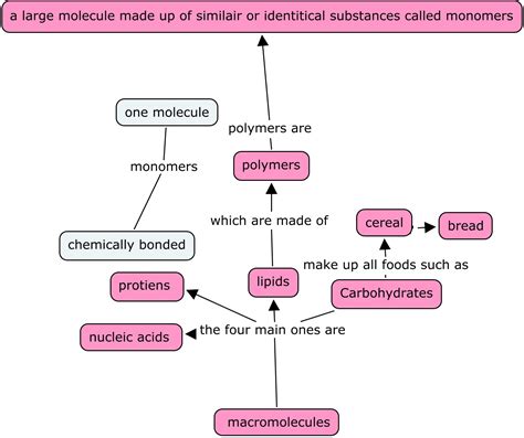 Biology by patricia m: Macromolecules c map