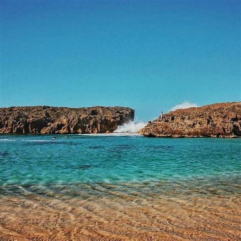 65 best Manati, Puerto Rico images on Pinterest | Puerto rico, Nature and Diving