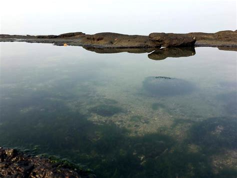 Ultimate Guide to Murud Janjira Fort | Murud Janjira Beach