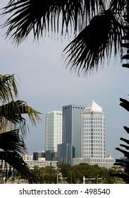 Downtown Tampa Skyline Stock Photo 498540 | Shutterstock