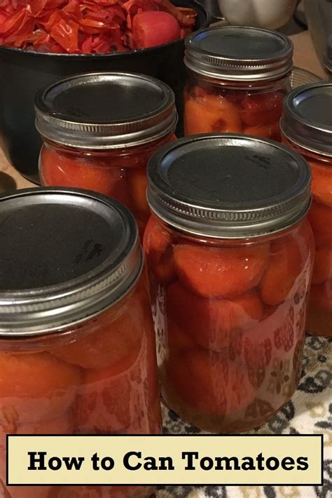 Canning Tomatoes Canning How To Can Tomatoes Food