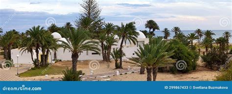 Resort Landscape with Palm Trees and Hotels on the Mediterranean Coast. Tunisia. Jerba Island ...