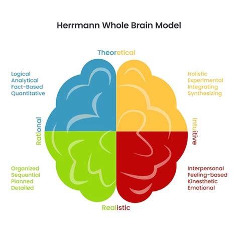 The Power Of Whole Brain Thinking In Decision Making HBDI