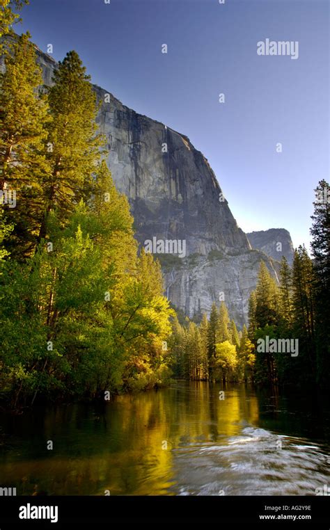 Morning Light On Trees Along The Merced River In Spring Below El Capitan Yosemite Valley